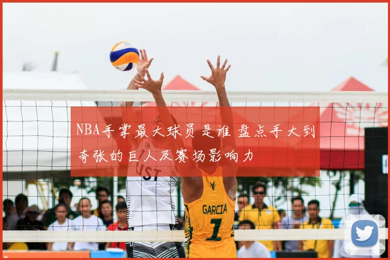 NBA手掌最大球员是谁 盘点手大到夸张的巨人及赛场影响力