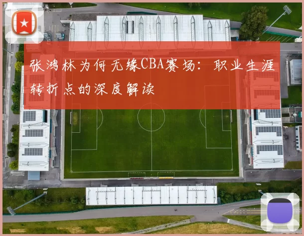 张鸿林为何无缘CBA赛场：职业生涯转折点的深度解读