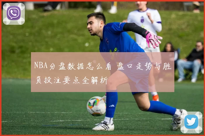 NBA分盘数据怎么看 盘口走势与胜负投注要点全解析