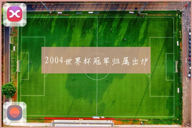 2004世界杯冠军归属出炉