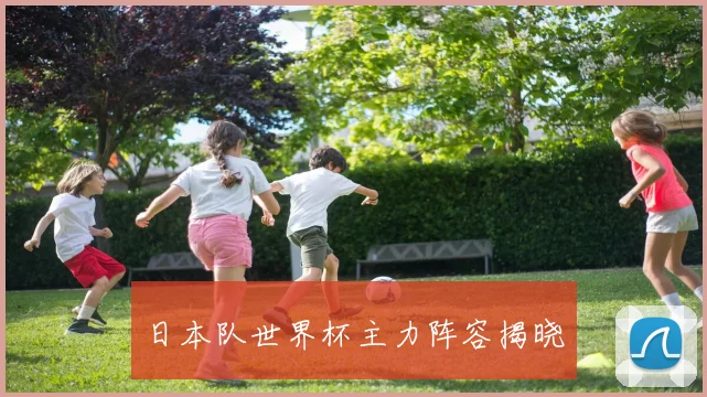 日本队世界杯主力阵容揭晓