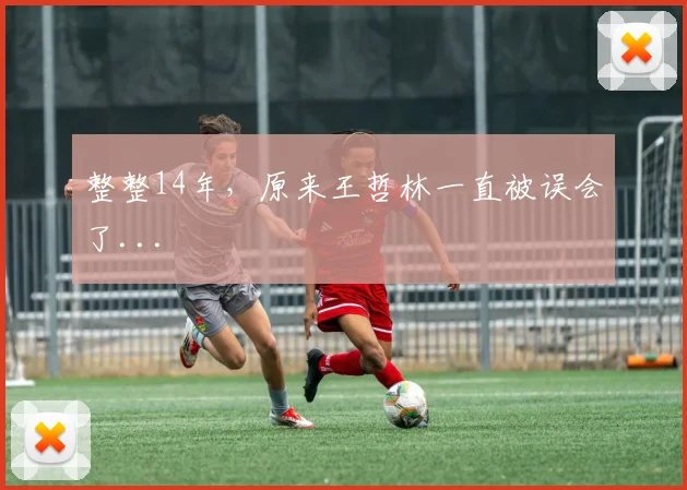 整整14年,原来王哲林一直被误会了...