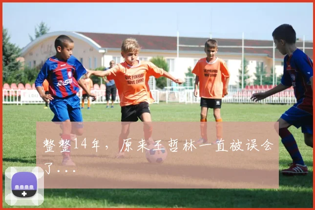 整整14年，原来王哲林一直被误会了...
