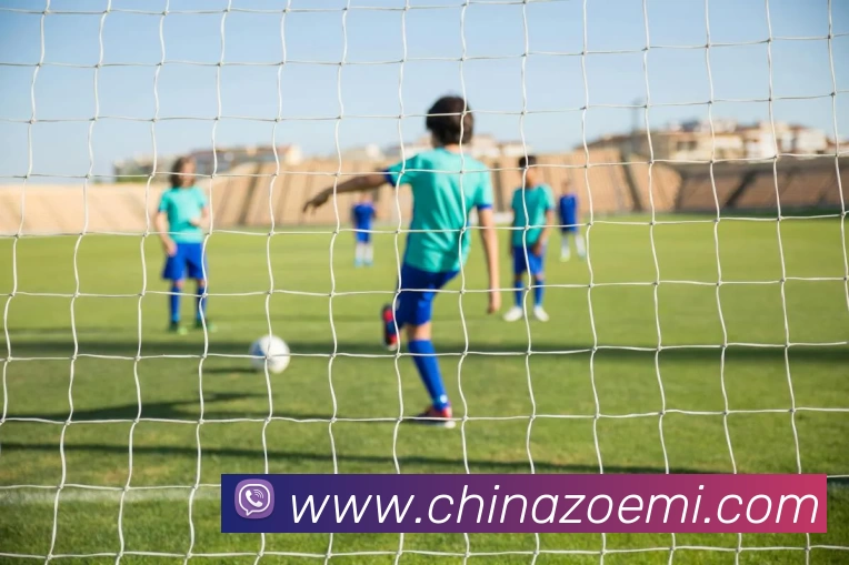 星空网官方登录发展历程